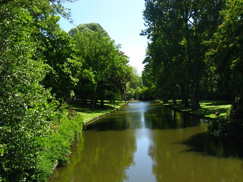 bosques-de-brujas