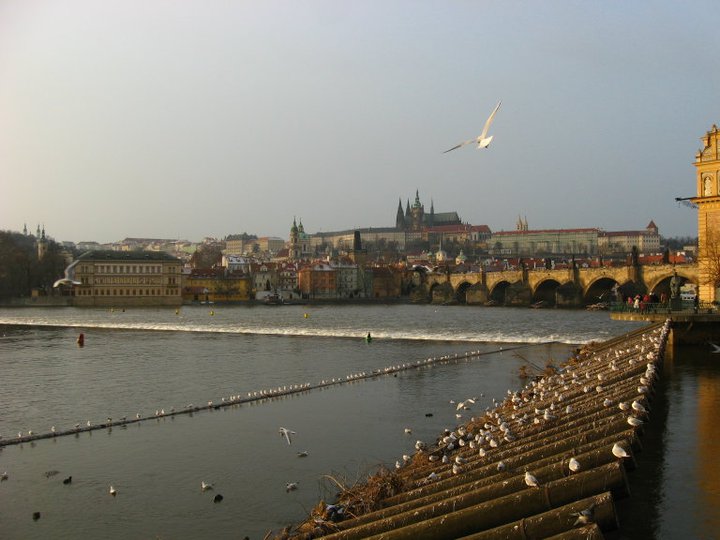 praga-1