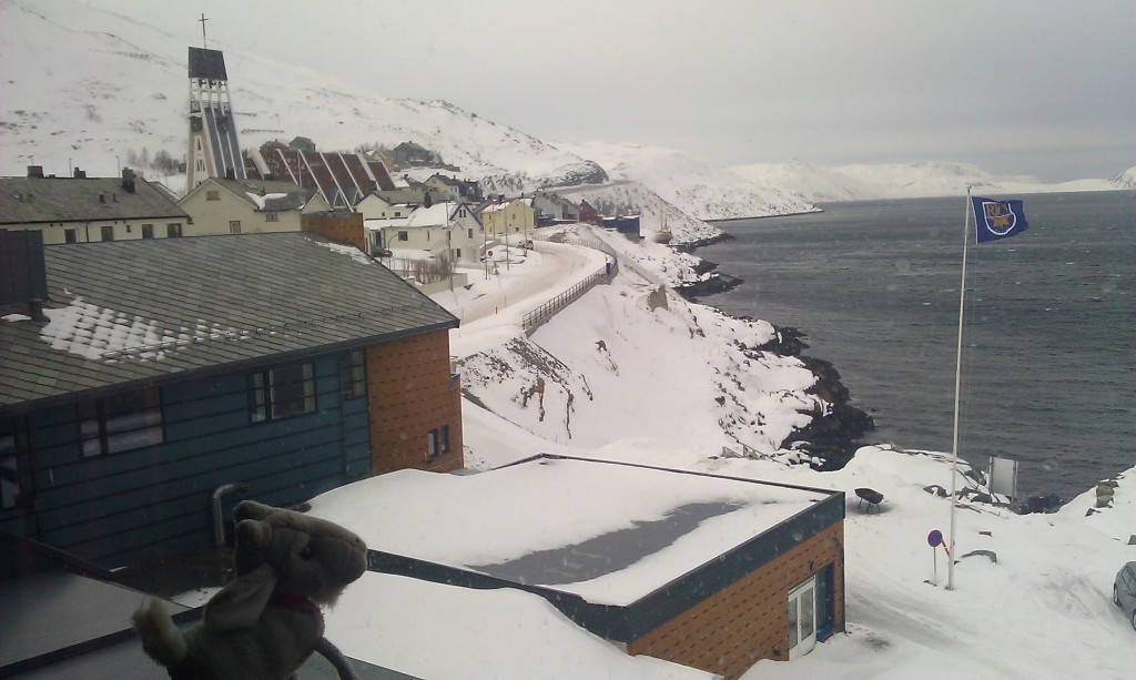 olivia-en-hammerfest